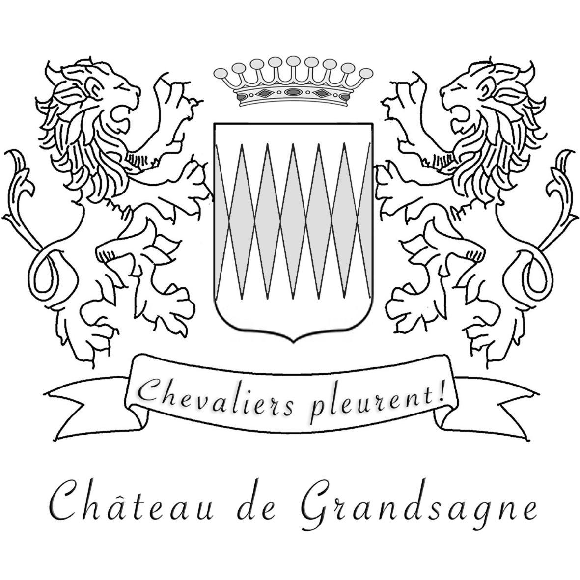 Chateau De Grandsagne Bed & Breakfast Bonnat Exterior foto