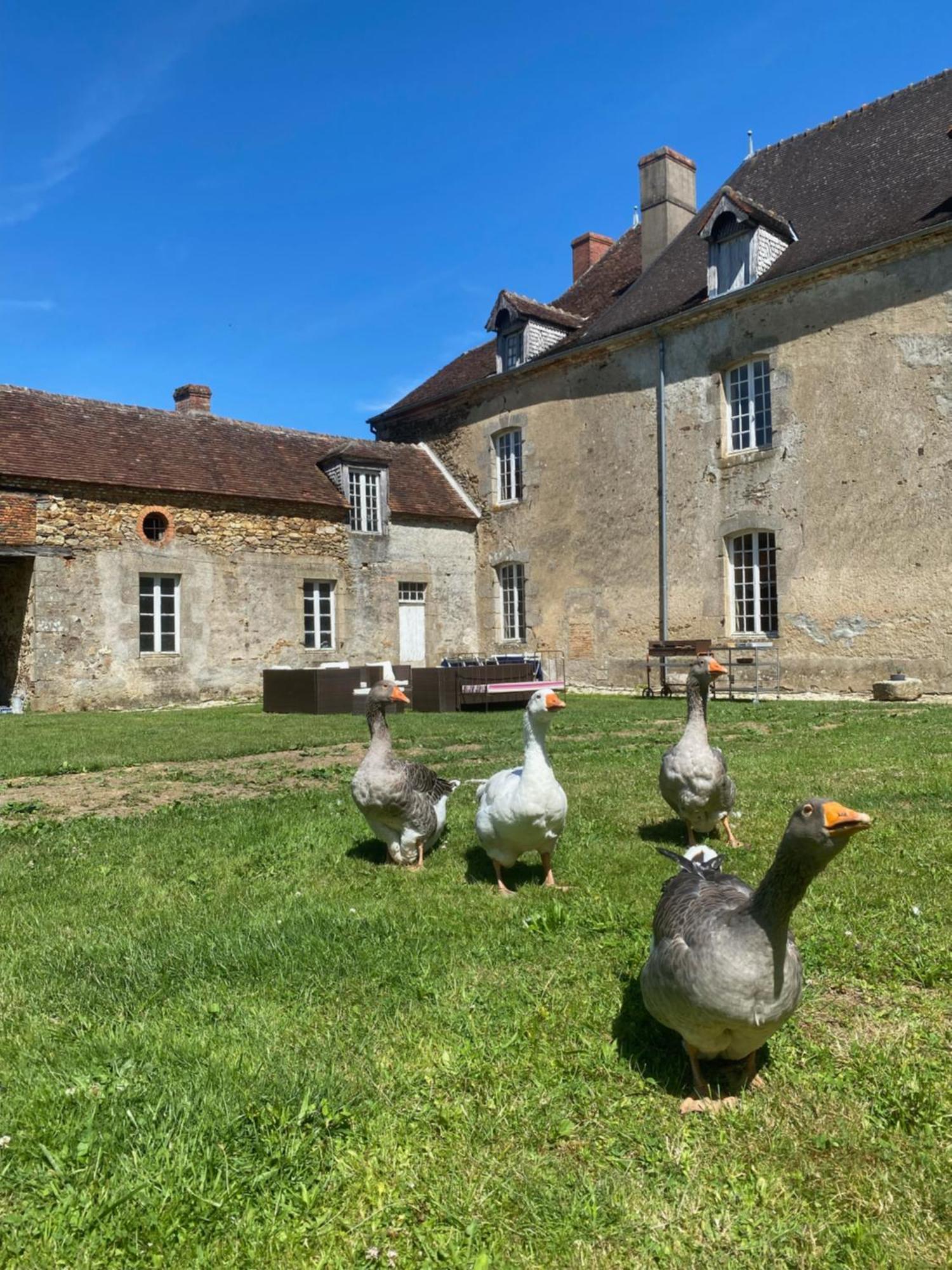 Chateau De Grandsagne Bed & Breakfast Bonnat Exterior foto